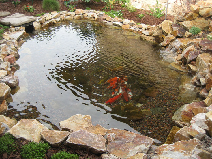 elderman pond 2