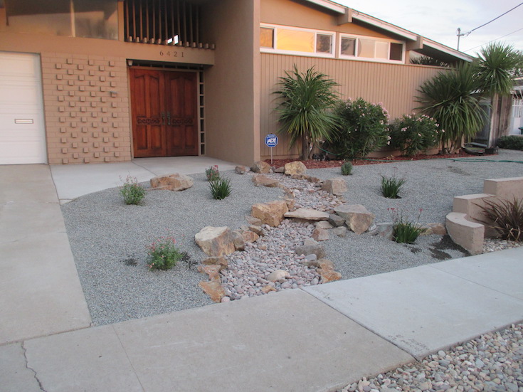 SOFTSCAPES XERISCAPES SPICER 0