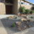 SOFTSCAPES XERISCAPES SPICER THUMBNAIL 4